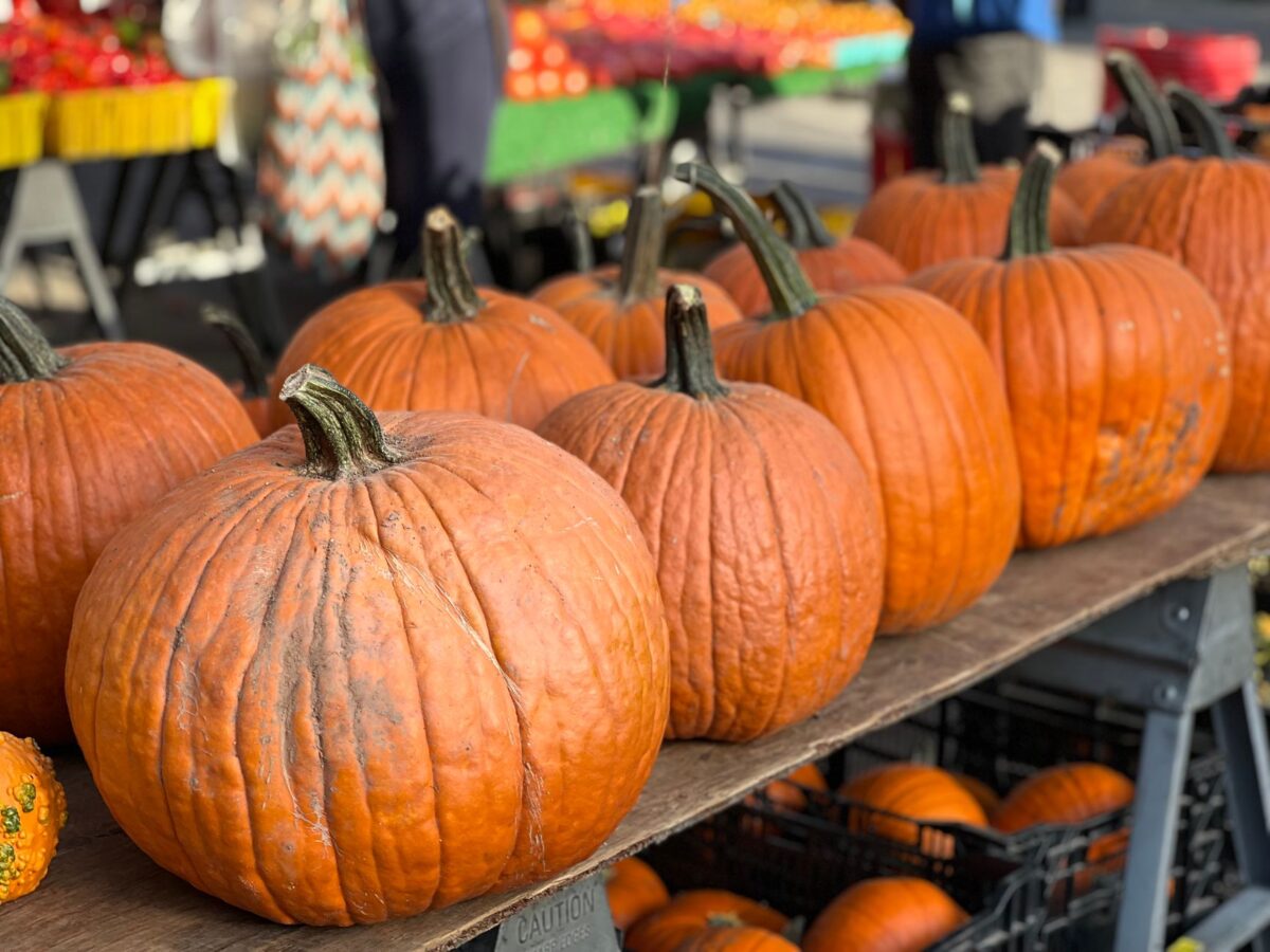 Produits frais en hausse de 9,5 % : comment cuisiner étudiant cet automne